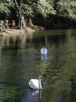 Feuersee