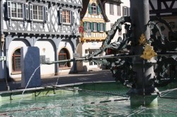Img_0025