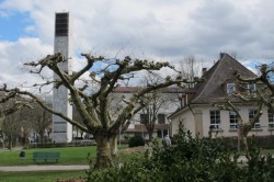Katholische Kirche