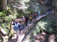 IMG_0085_80