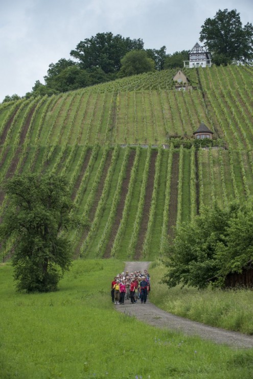 Wanderung auf dem Jubiläumsweg 2