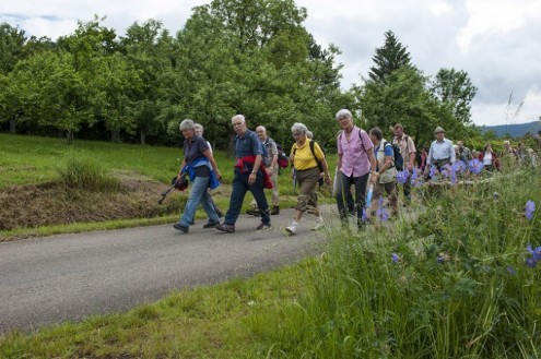 Wanderung auf dem Jubiläumsweg 5