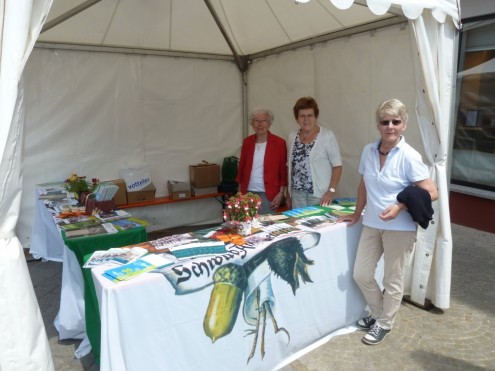 Info Stand (Foto Tempes)