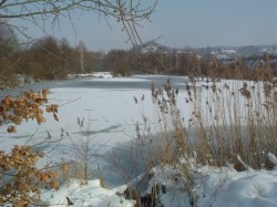 Dezember Naturschutzgebiet "Rehfeldsee" Dezember Naturschutzgebiet "Rehfeldsee"