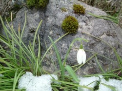 Februar Februar