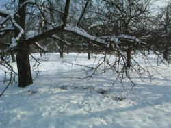Januar