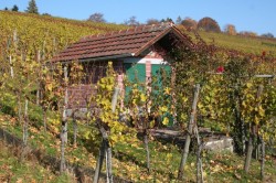 Oktober Oktober