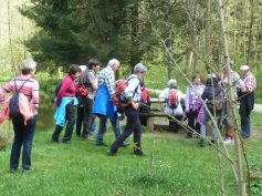 marbachtal