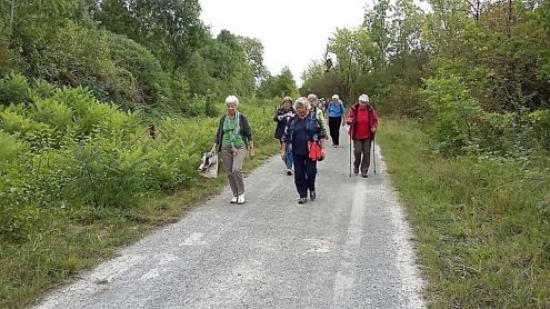 vaihingen-4