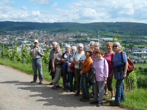 gehoelzgarten-steinach-19-06-2016