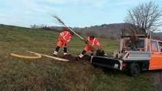 planzung-der-winterlinde-24-11-16