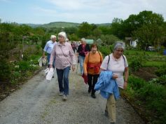 2015-6_mai-senioren-pluederhausen-1
