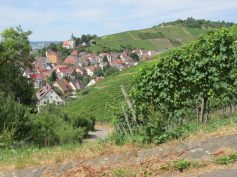 obertuerkheim