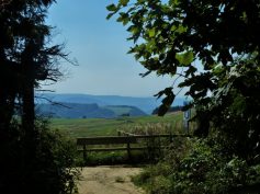 rhoenblick-von-der-wasserkuppe
