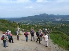 2011-elba-013
