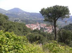 2011-elba-019