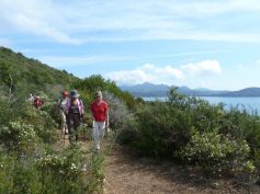 2011-elba-039