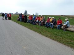 2011-welzheimer-wald-1
