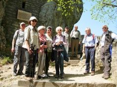 2011heimenstein_1