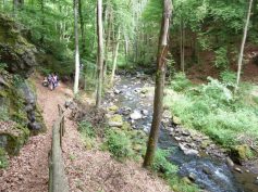 3-wandertag-alfbach