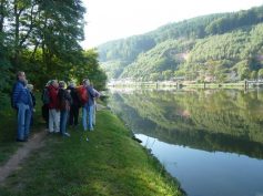 am-main-entlang-nach-miltenberg