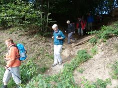 unterwegs-nach-grossheubach