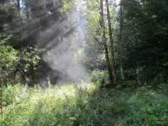 herbstliches-wental